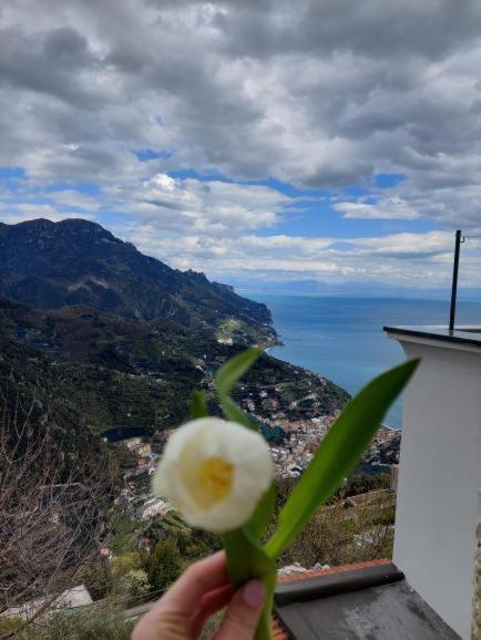 Il Sogno Di Wagner Leilighet Ravello Eksteriør bilde