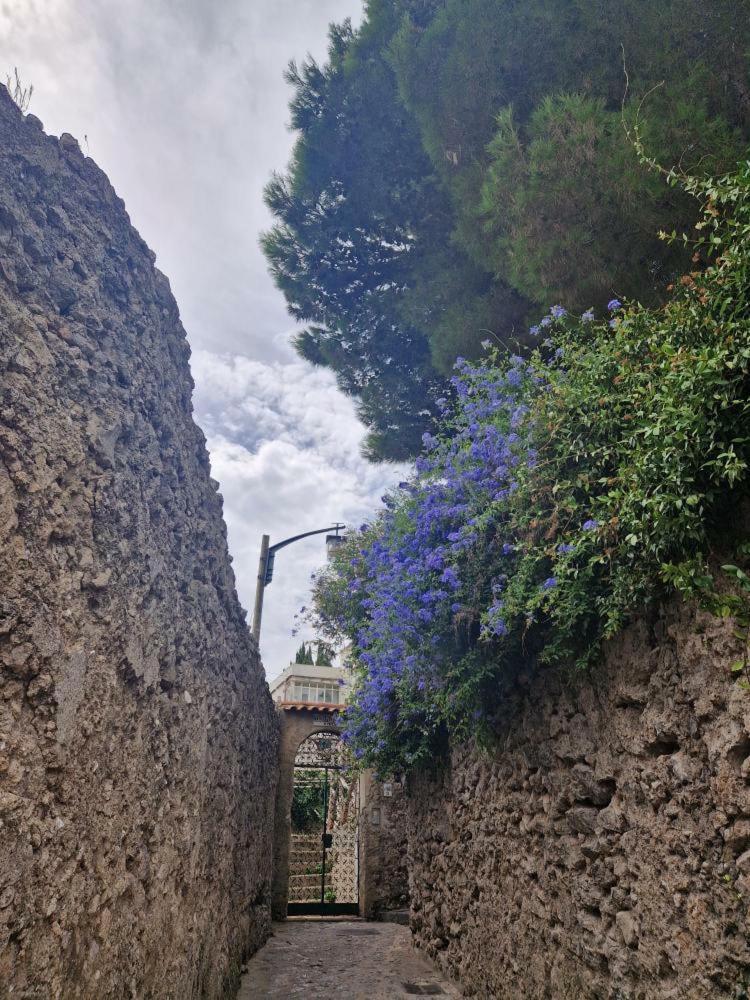 Il Sogno Di Wagner Leilighet Ravello Eksteriør bilde